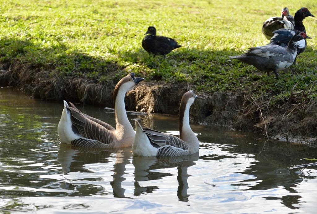 ホテル Rancho Baiguate ハラバコア エクステリア 写真